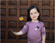 Butterfly collection